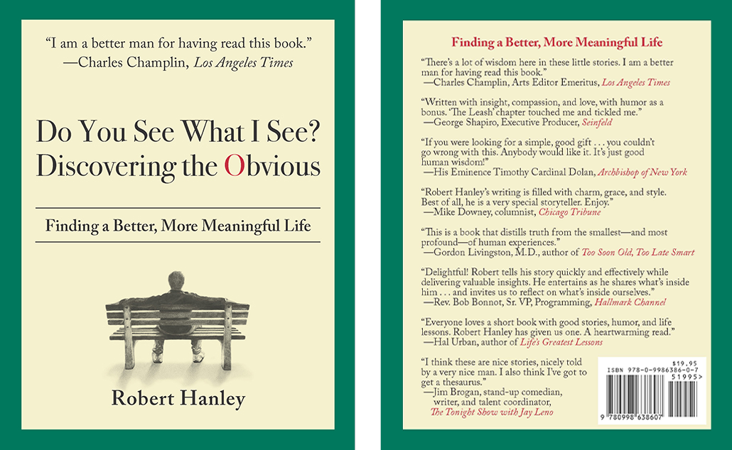 Do You See What I See? Discovering the Obvious by Robert Hanley